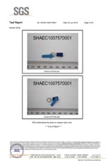 RCCN ROHS WIRING TERMINAL
